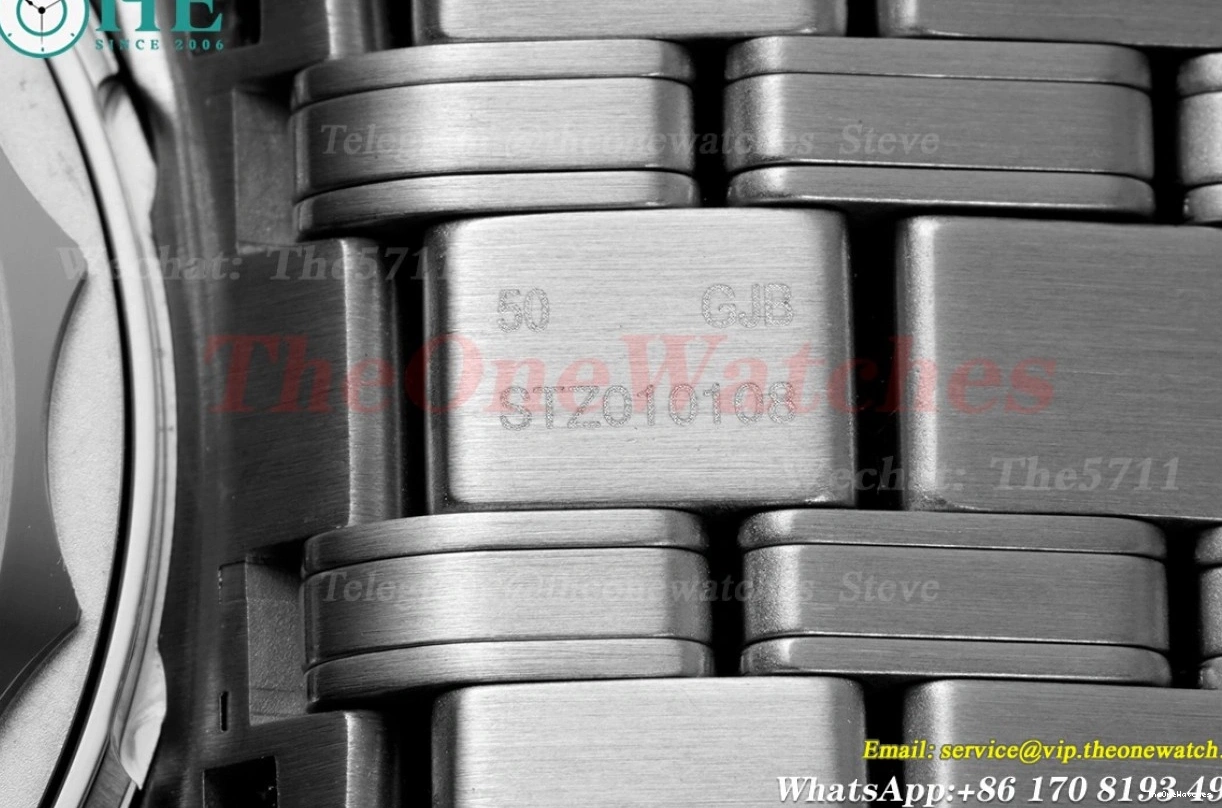 8800 Asia 300m SS 2018 Seamaster ORF Black SS 0113